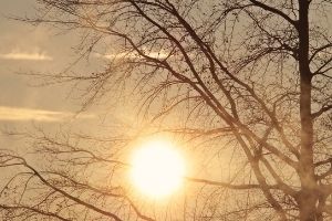 High temperature day